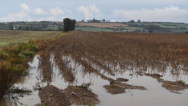 Farmers hope for better in 2024 following a 'remarkable' year gone by for rainfall and warming